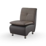 Leather Lounge Chair